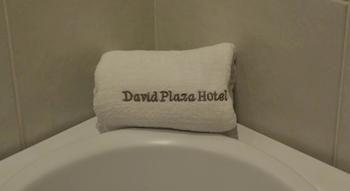 Hotel David Plaza